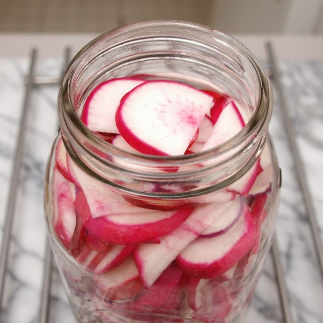 Lacto-Fermented Radishes