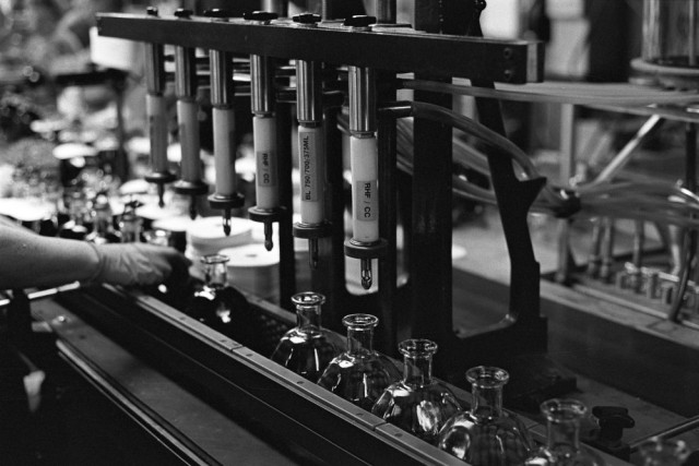 Hitting the Bourbon Trail