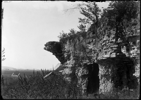 Via The Field Museum Library