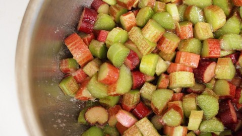 Strawberry-Rhubarb Tart