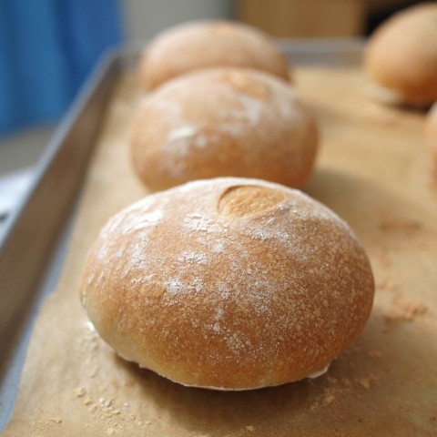 Homemade Hamburger Buns