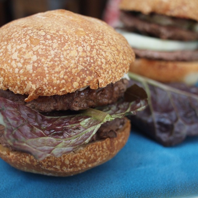 Homemade Hamburger Buns