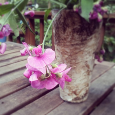 sweet peas -- photo credit: Adam Zolkover