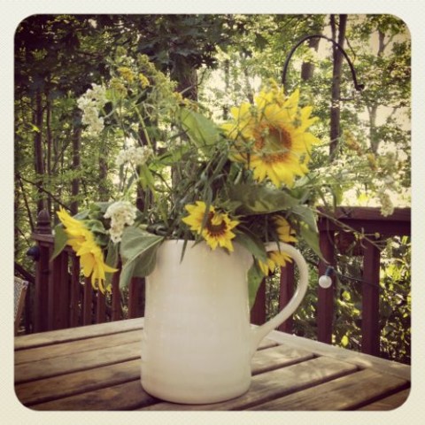 last summer's sunflowers, foraged on the edge of a meadow