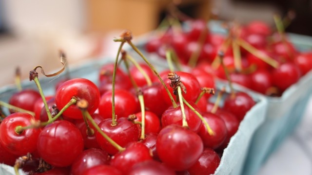 Ginjinha; or, Portuguese Sour Cherry Liqueur