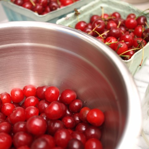 Ginjinha; or, Portuguese Sour Cherry Liqueur