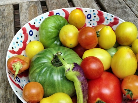 Moussaka tomatoes