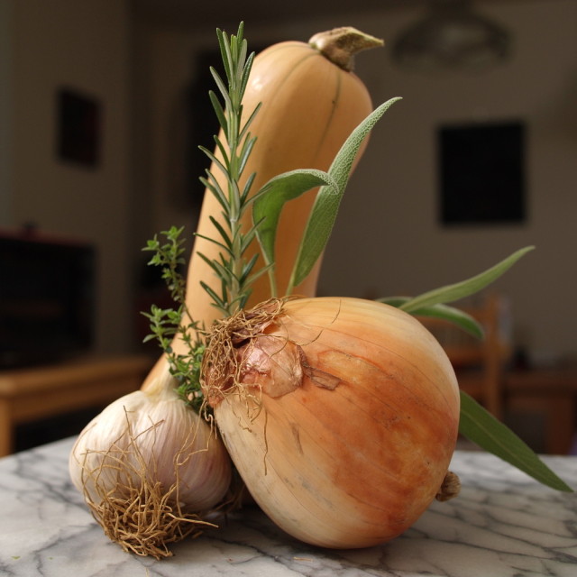 Roasted Butternut Squash Rings with Marinated Onions