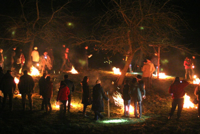 Cider: It's Time for Wassail