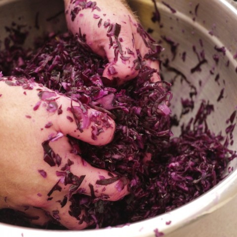 Purple Sauerkraut, Well Garlicked