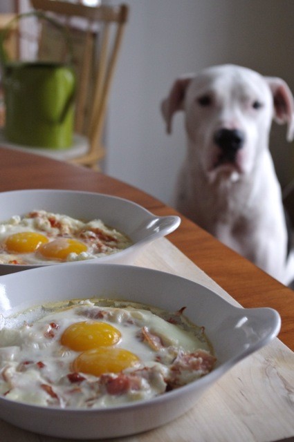 Baked Eggs, for this or any century