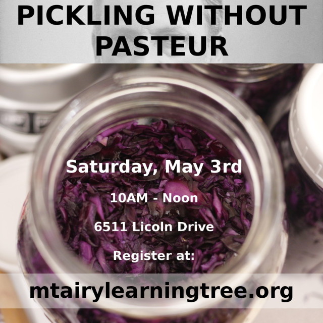 Spring Workshop: Pickling Without Pasteur, Part II