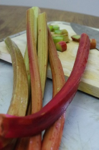 Rhubarb cutting