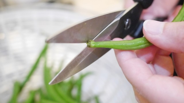 Lacto-Fermented Green Beans