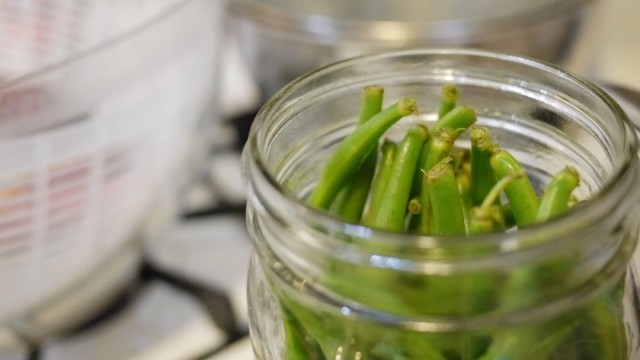 Lacto-Fermented Green Beans