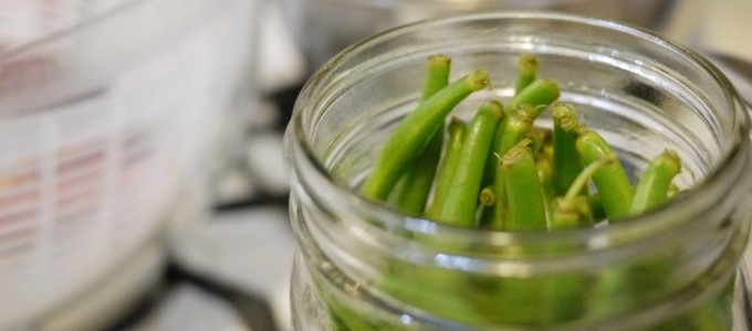 Lacto-Fermented Green Beans