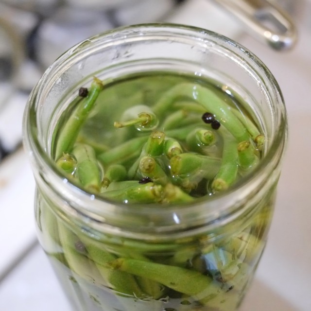 Lacto-Fermented Green Beans